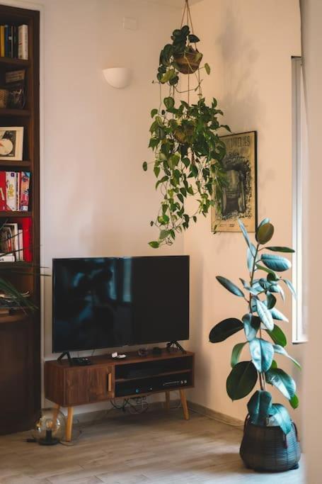 Vaticano/Trastevere Floreal Suite Řím Exteriér fotografie